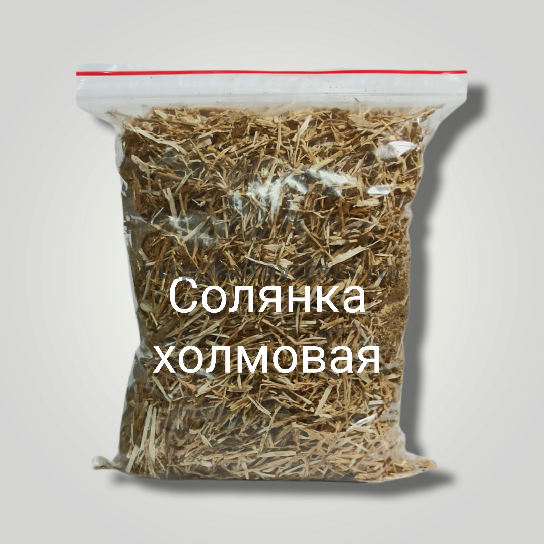 Солянка холмовая - купить по низкой цене в интернет-магазине Травы Алтая
